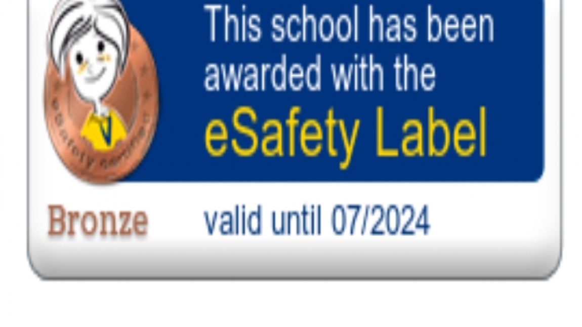 e Safety Label Bronz Etiketimiz